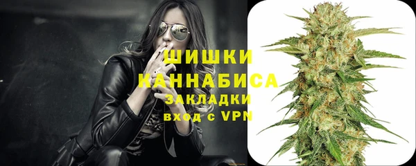 ешки Нижний Тагил