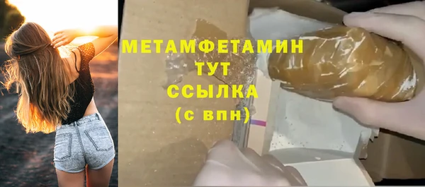 индика Майский