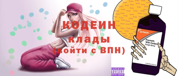 индика Майский