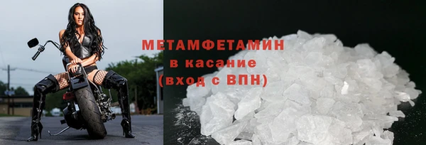индика Майский